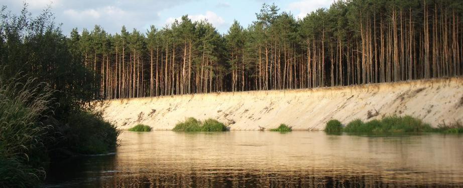 Domki Nad Pilicą Krzetow Zewnętrze zdjęcie