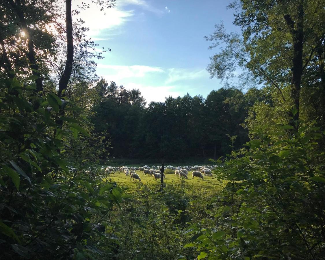 Domki Nad Pilicą Krzetow Zewnętrze zdjęcie
