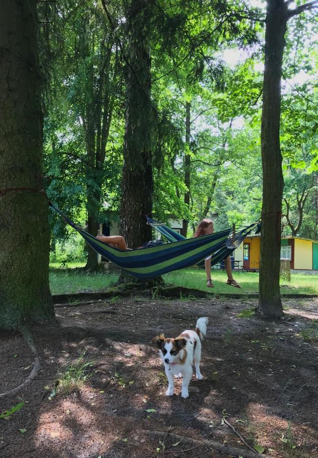 Domki Nad Pilicą Krzetow Zewnętrze zdjęcie